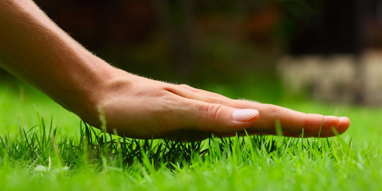 Touching grass | Be Informed Home Inspections | lawncare Dallas