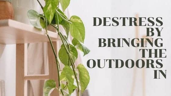 Destress by bringing the outdoors in Home Inspection Dallas