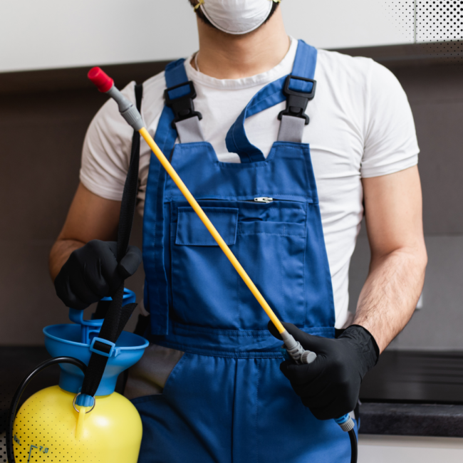 Protect Your Home This Winter: Pest Prevention Tips For Homeowners Protect Your Home This Winter: Pest Prevention Tips For Homeowners -Fort Worth TX