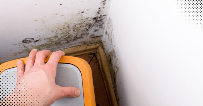 When To Walk Away After The Home Inspection: Red Flags You Can’t Ignore? When To Walk Away After The Home Inspection: Red Flags You Can’t Ignore? - Blog Featured image