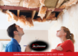 Understanding The Frisco TX Home Inspection Process