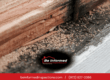 Termite damage and frass (termite droppings) found during a home inspection in Dallas, TX.