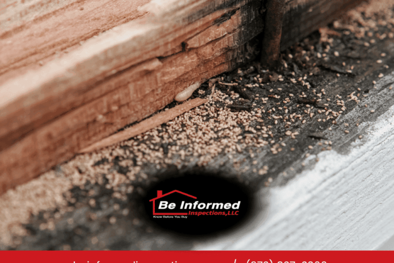 Termite damage and frass (termite droppings) found during a home inspection in Dallas, TX.