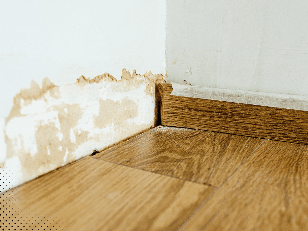 Water damage and staining on interior wall and baseboard identified during a home inspection in Dallas, TX.